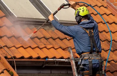 Démoussage et hydrofuge de toiture à Villar-Saint-Anselme